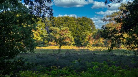 GeHa Zeist WAHoeve