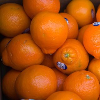 koningsdag oranje 4 koningsdag oranje 4